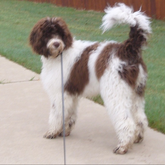 Meet your Posher, Duane - Picture 10 of 12